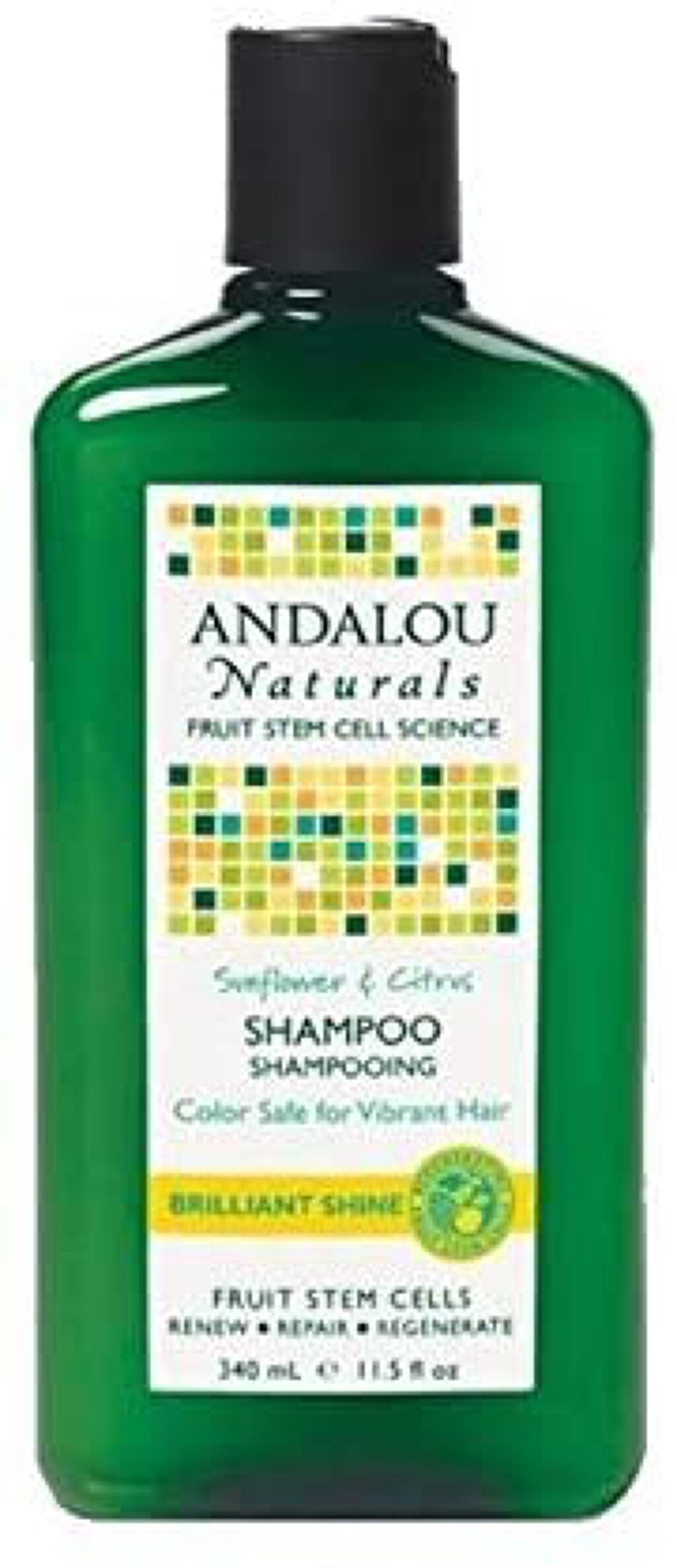 Andalou Naturals Brilliant Shine Shampoo