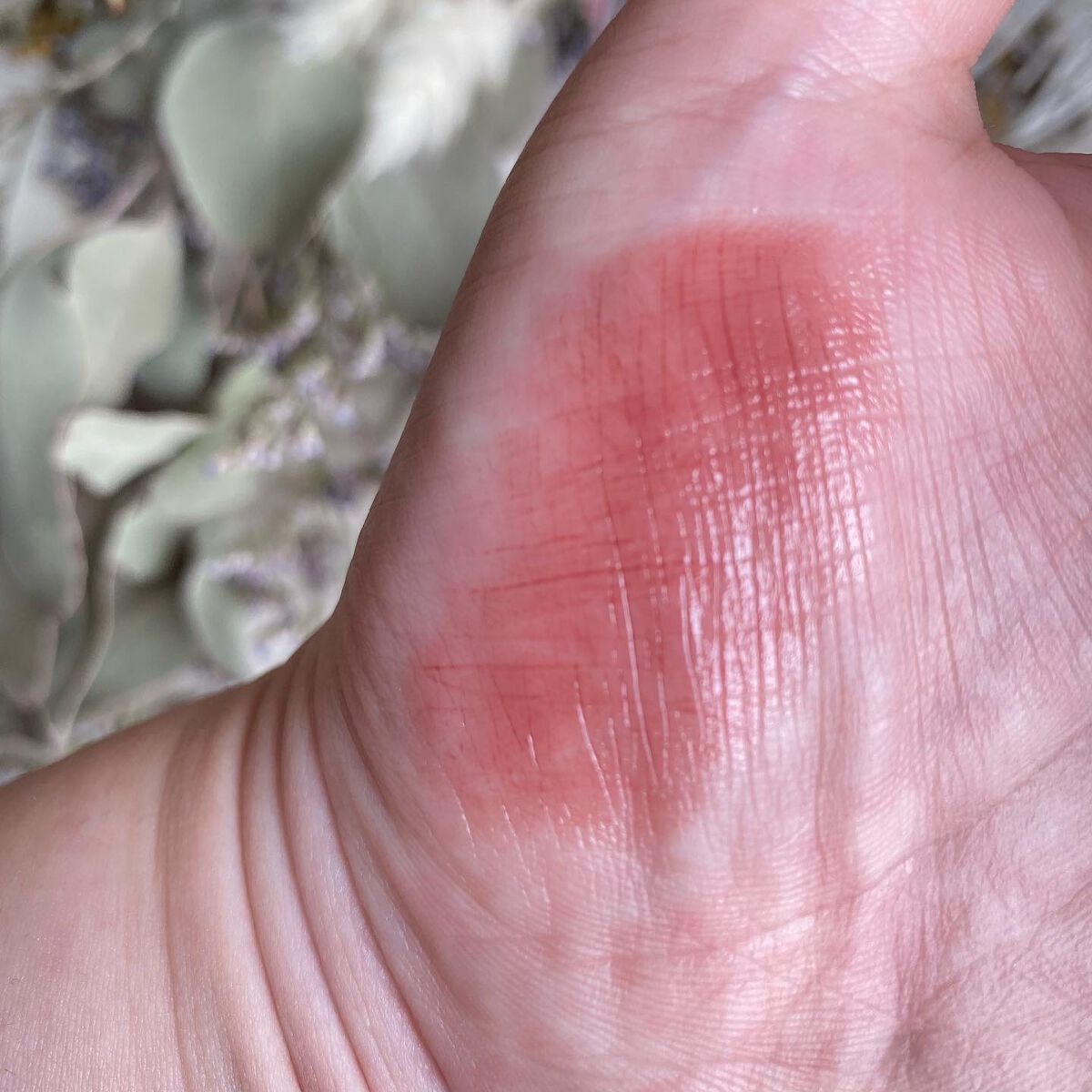 ケイト リップモンスター/KATE/口紅を使ったクチコミ(2枚目)