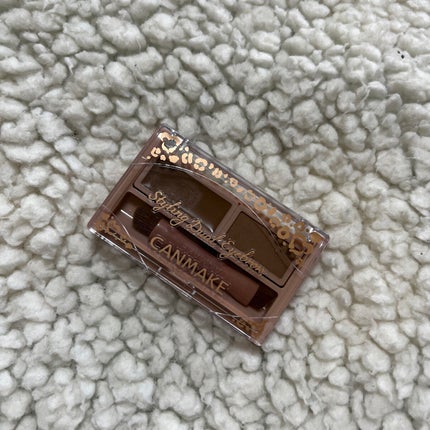 スタイリングデュアルアイブロウ 02 ウォームブラウン/キャンメイク/アイブロウを使ったクチコミ(1枚目)