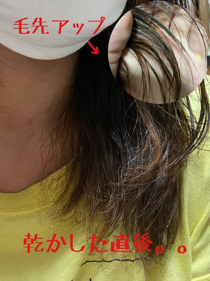 ファイブハーブスリペアリングシャンプー/コンディショナー トライアル/L'OCCITANE/シャンプー・コンディショナーを使ったクチコミ(3枚目)