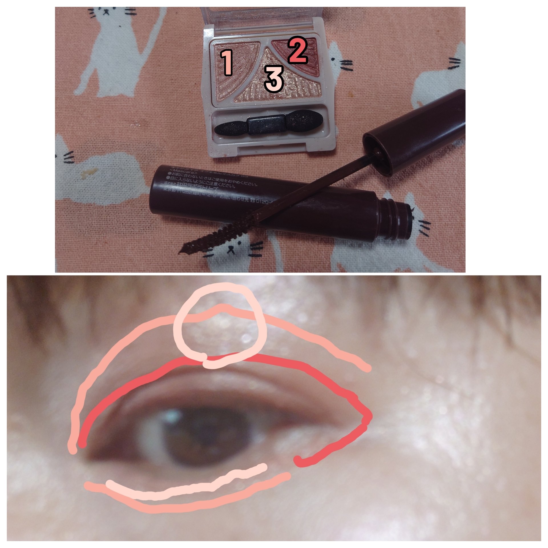 グロウフルールチークス/キャンメイク/パウダーチークを使ったクチコミ（2枚目）