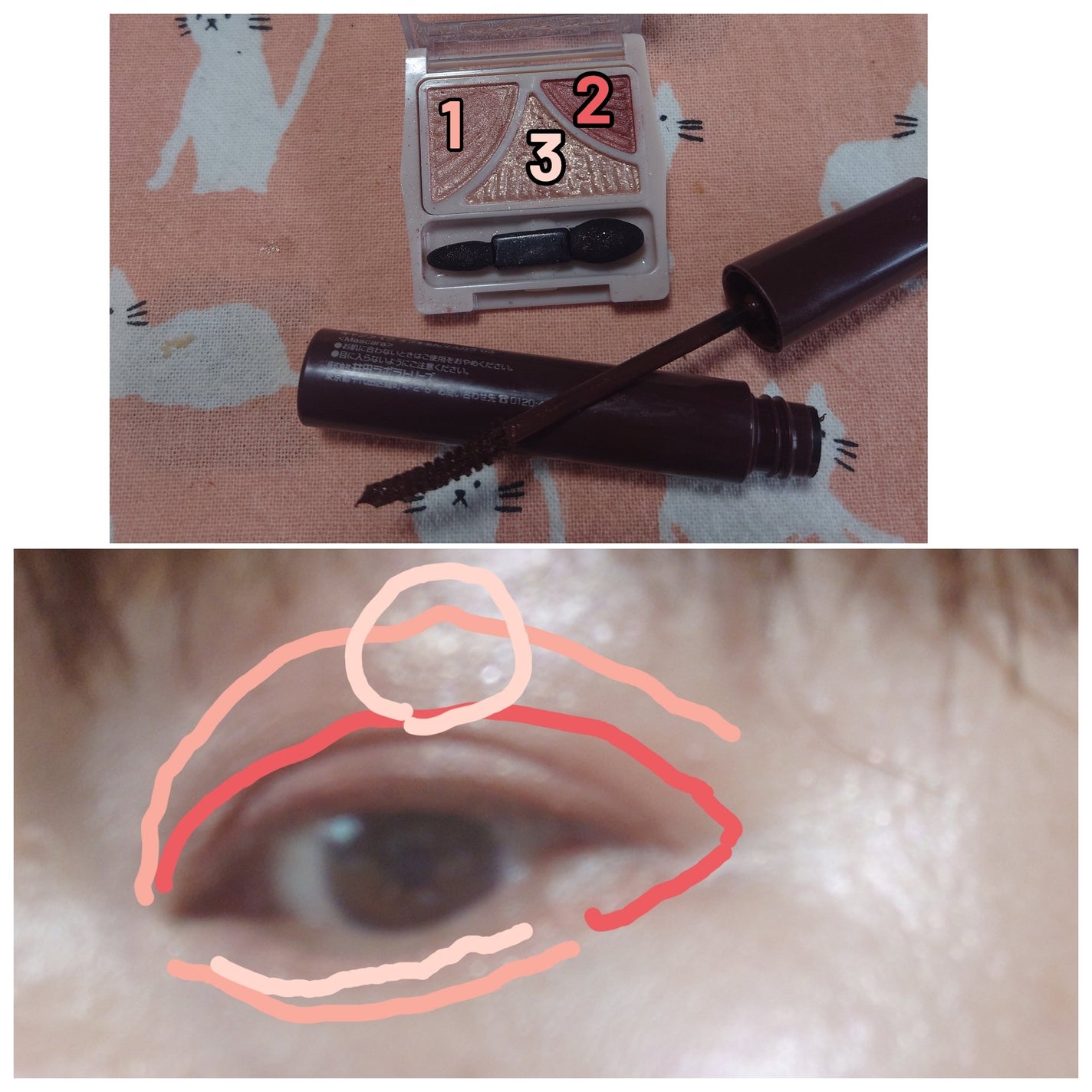 グロウフルールチークス/キャンメイク/パウダーチークを使ったクチコミ(2枚目)