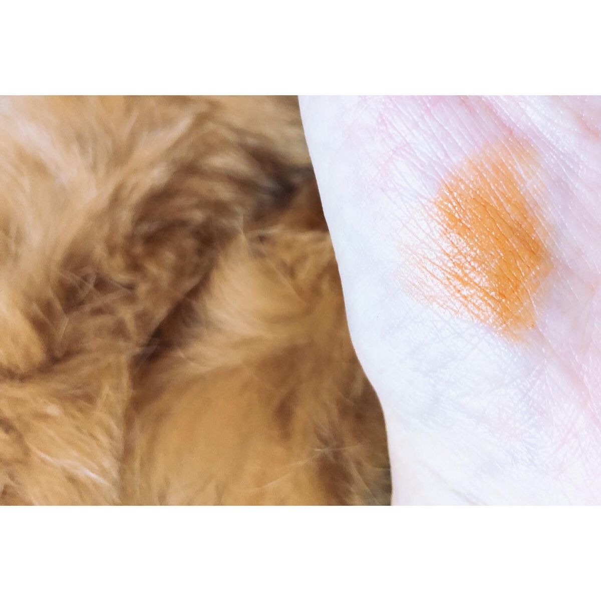 シアー マット リップスティック 107 黄梅-OUBAI＜限定色＞/SUQQU/口紅を使ったクチコミ（2枚目）