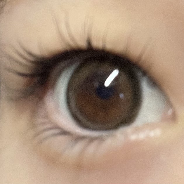 MOLAK 1day ブラウンバニー/MOLAK/ワンデー（１DAY）カラコンを使ったクチコミ（3枚目）