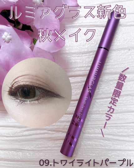 スキルレスライナー/LUMIURGLAS/リキッドアイライナーを使ったクチコミ(1枚目)