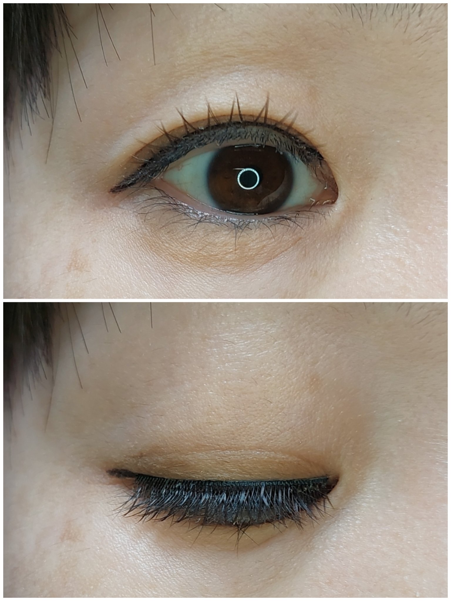 アイラッシュ /DAISO/つけまつげを使ったクチコミ（2枚目）