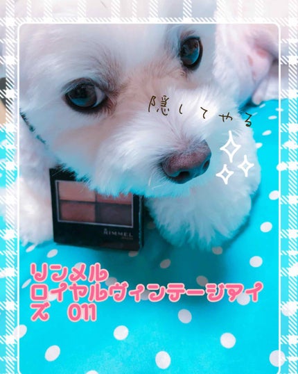 ロイヤルヴィンテージ アイズ/リンメル ロンドン/アイシャドウパレットを使ったクチコミ(1枚目)