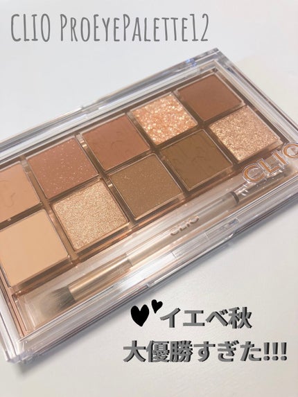 プロ アイ パレット/CLIO/アイシャドウパレットを使ったクチコミ(1枚目)