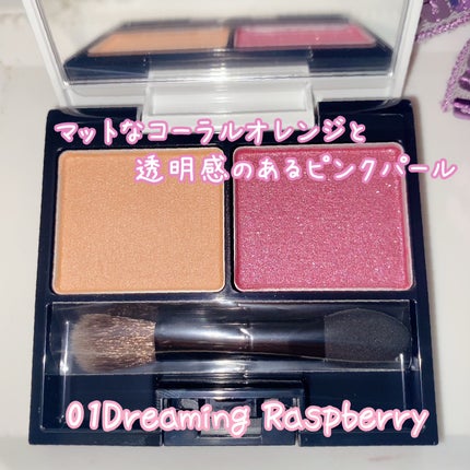 ルミナス プラウド アイズ 01 Dreaming Raspberry/est/アイシャドウパレットの画像