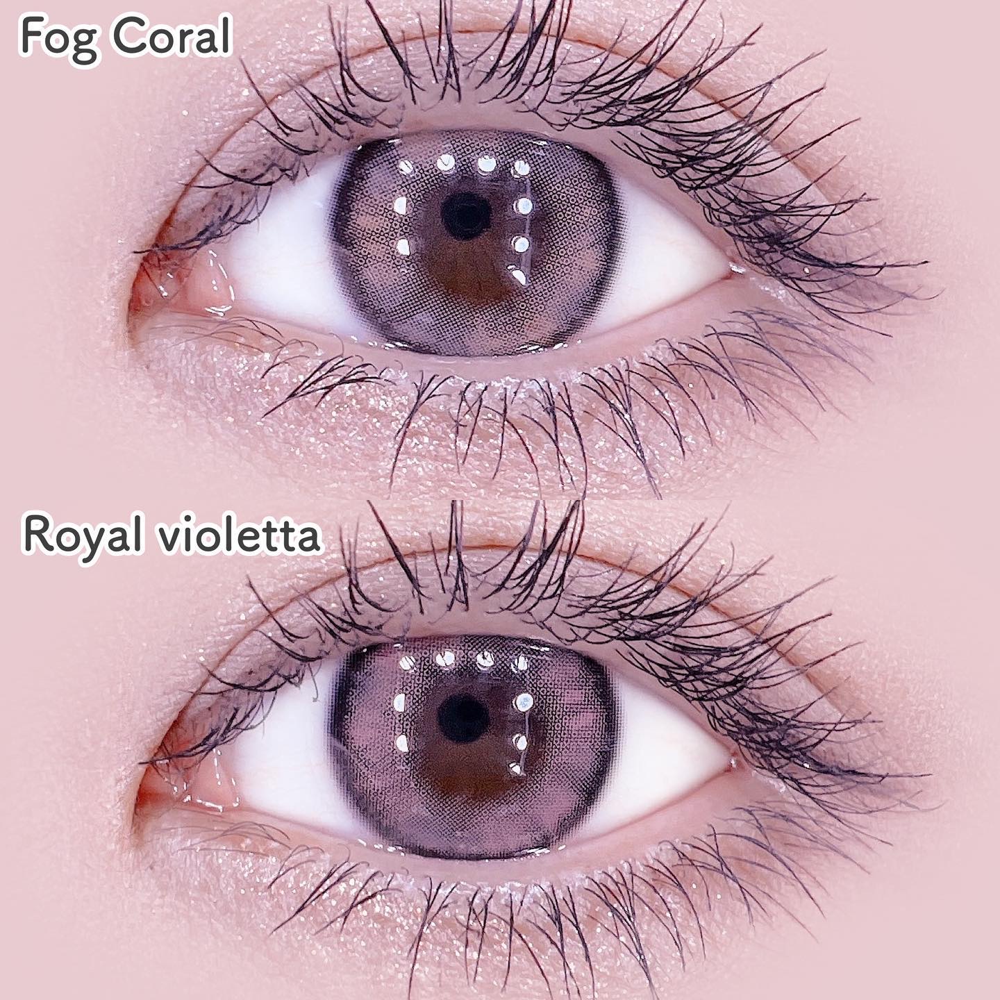 Lucir 1Day/mimundo/カラーコンタクトレンズを使ったクチコミ（3枚目）