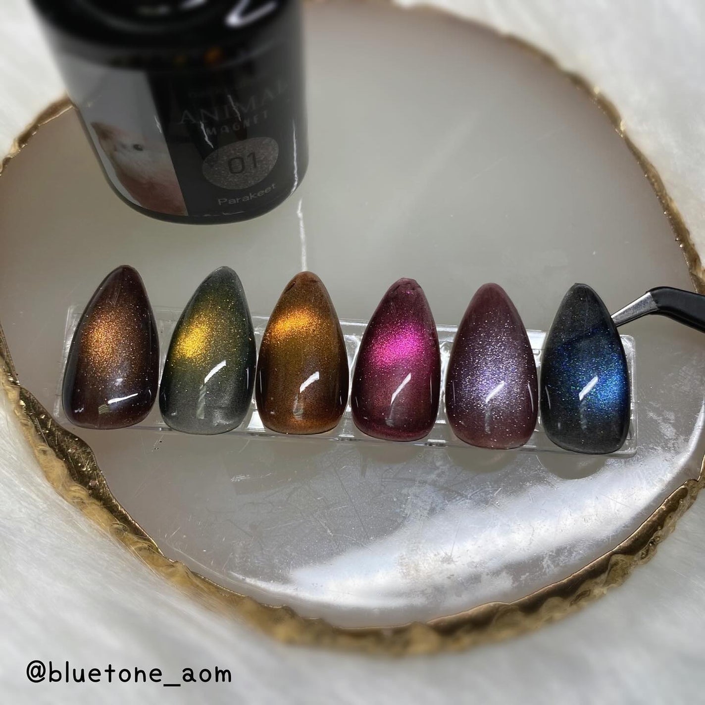 アニマルマグネットジェル/ネイル工房/ジェルネイルを使ったクチコミ(5枚目)