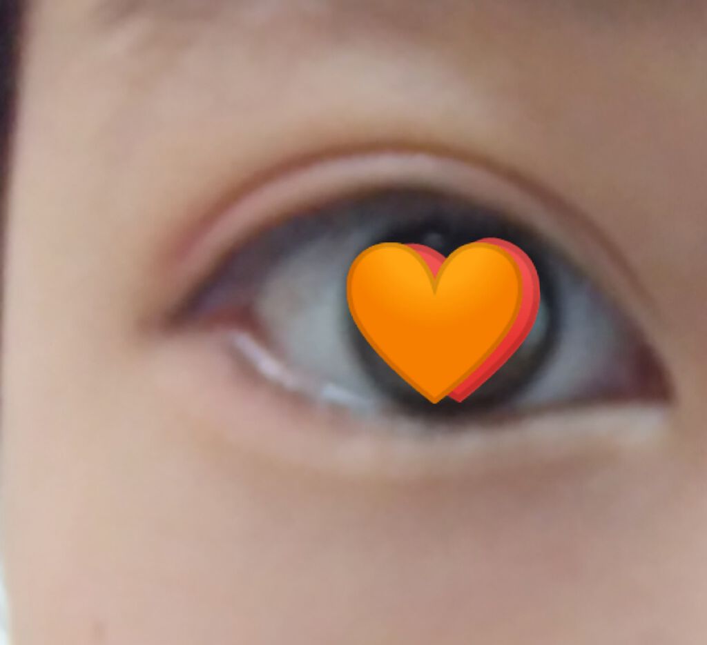 シークレットカラーアイズ/キャンメイク/アイシャドウパレットを使ったクチコミ（2枚目）