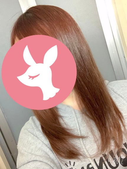 シルキー スムースモイスチャー シャンプー 1.0/ヘアトリートメント 2.0/&honey/市販シャンプーを使ったクチコミ(2枚目)