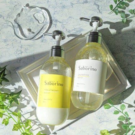 ハヤラクシャンプー モイスト/トリートメント モイスト/サボリーノ/市販シャンプーを使ったクチコミ(2枚目)