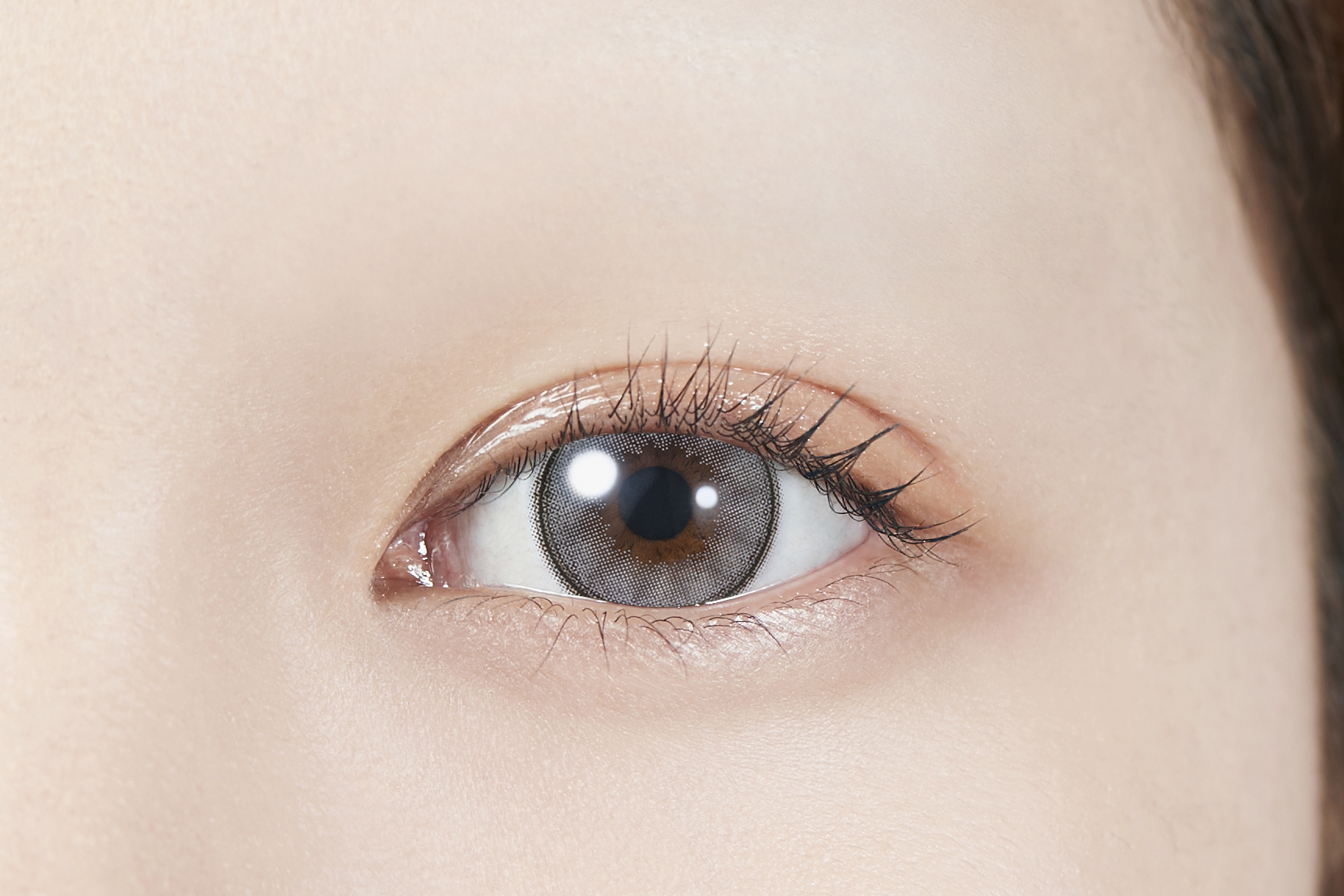 MOLAK 1day ドリームグレー