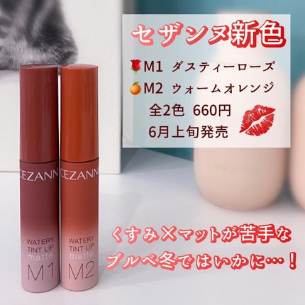 ウォータリーティントリップ マット/CEZANNE/リップティントを使ったクチコミ(1枚目)