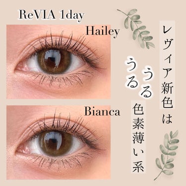 ReVIA 1day [CIRCLE] BROWN（ブラウン）/ReVIA/ワンデー（１DAY）カラコンを使ったクチコミ（1枚目）