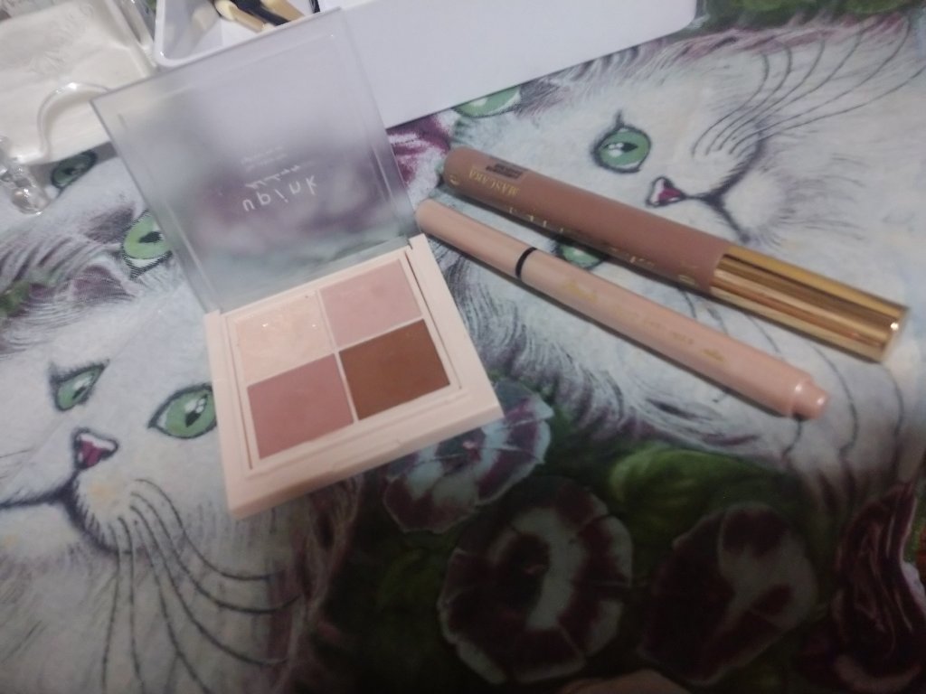 シャインオンステージアイパレット/upink/アイシャドウパレットを使ったクチコミ（1枚目）