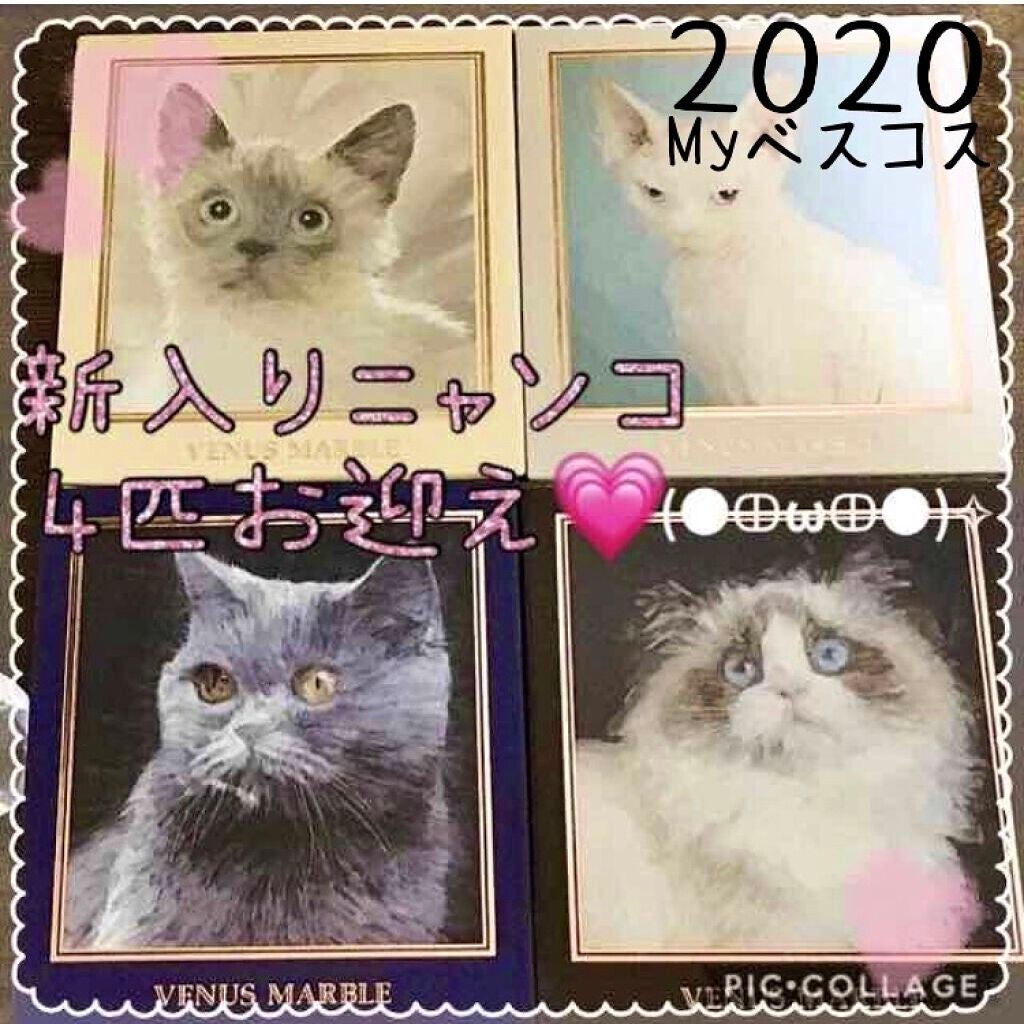 Venus Marble アイシャドウキャットシリーズ/Venus Marble/アイシャドウパレットを使ったクチコミ(1枚目)