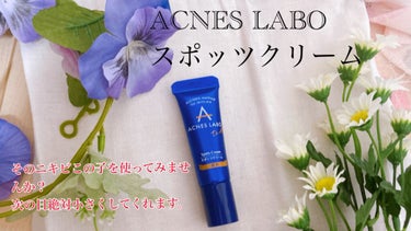 アクネスラボ 薬用ニキビケア スポッツクリームのクチコミ「ACNES LABO アクネスポッツクリーム
￥1517（Amazon）

マスク生活で肌がジ.....」（1枚目）