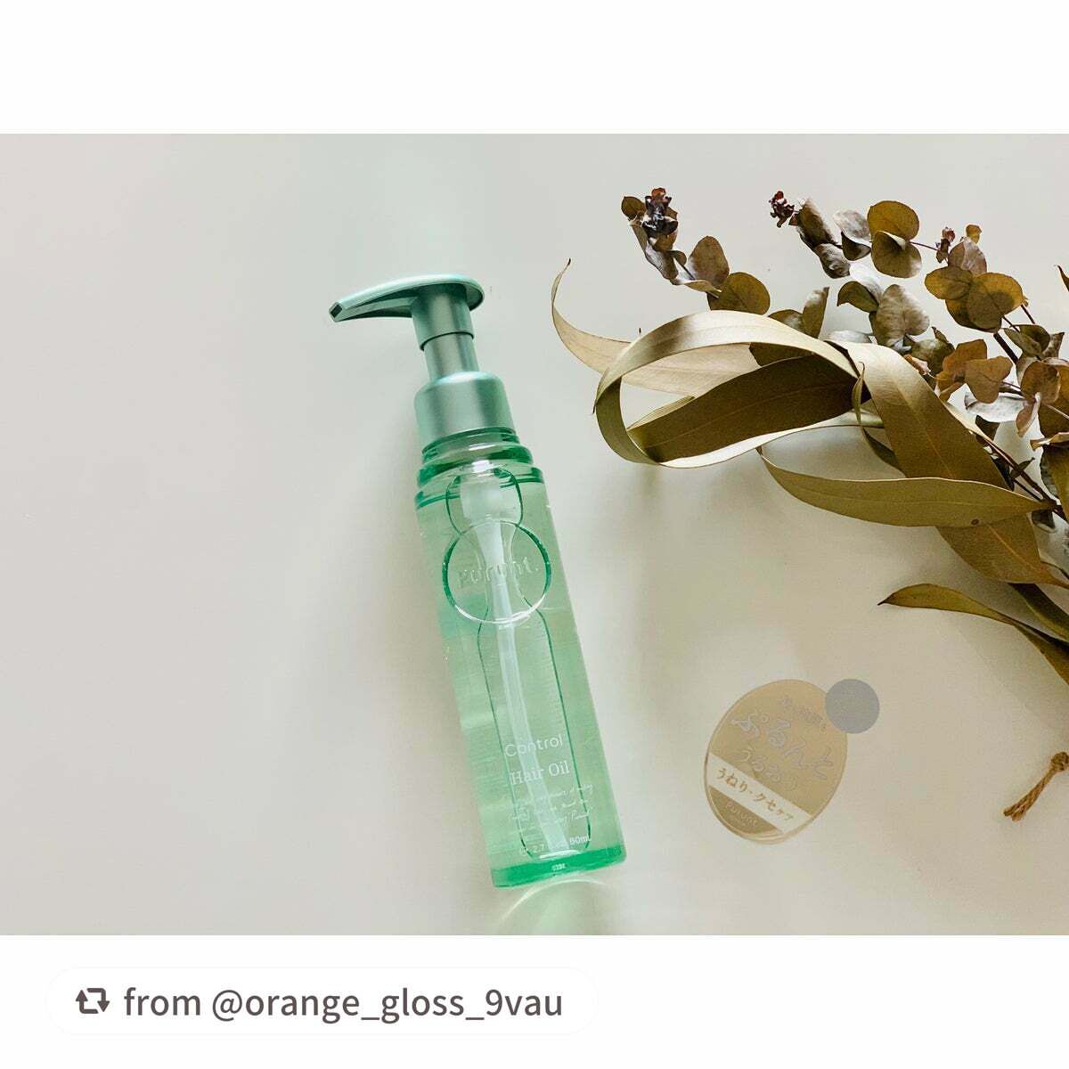 プルント コントロール美容液ヘアオイル/Purunt./ヘアオイルを使ったクチコミ(1枚目)