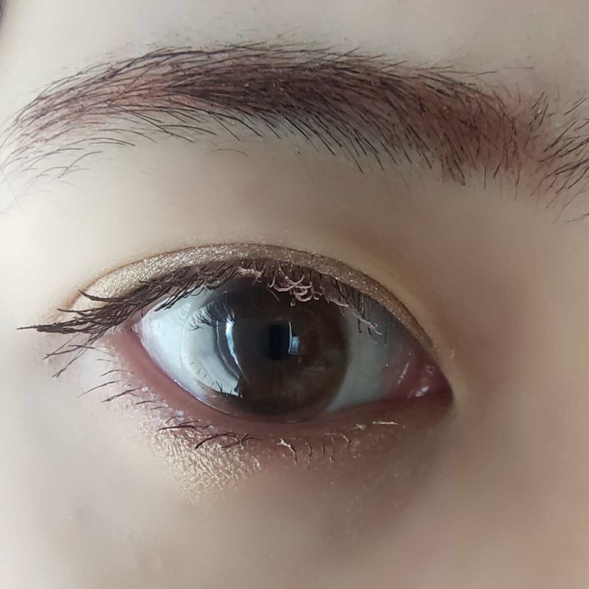ワンデーリフレア　プリフューズ/Refrear/ワンデー（１DAY）カラコンを使ったクチコミ（3枚目）