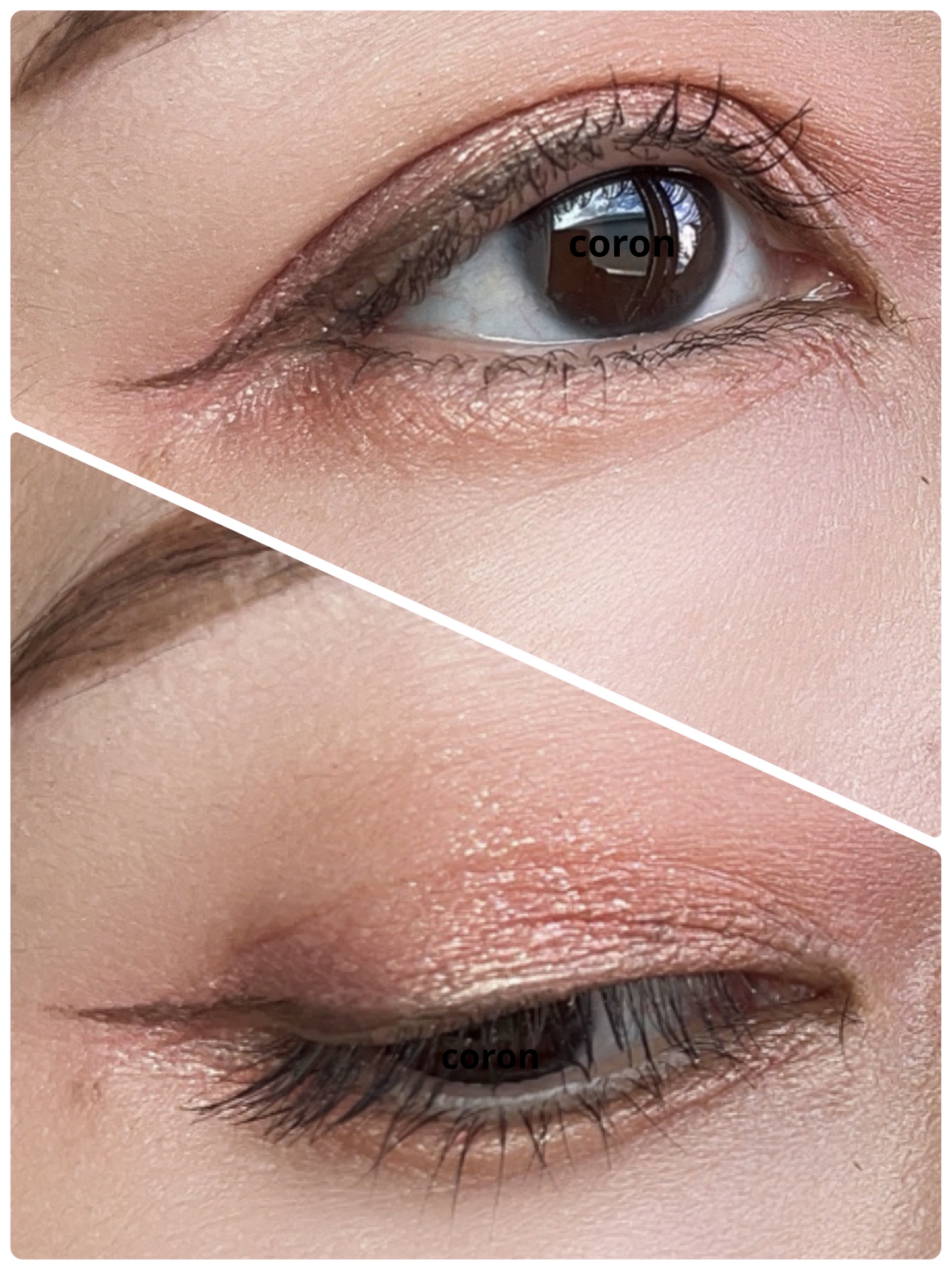 「塗るつけまつげ」ロングタイプ/デジャヴュ/マスカラを使ったクチコミ（2枚目）