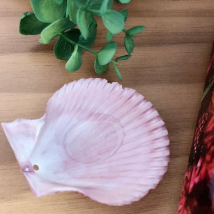 アビスタ エイジングケアシャンプー/コンディショナー/AVISTA/市販シャンプーを使ったクチコミ(1枚目)