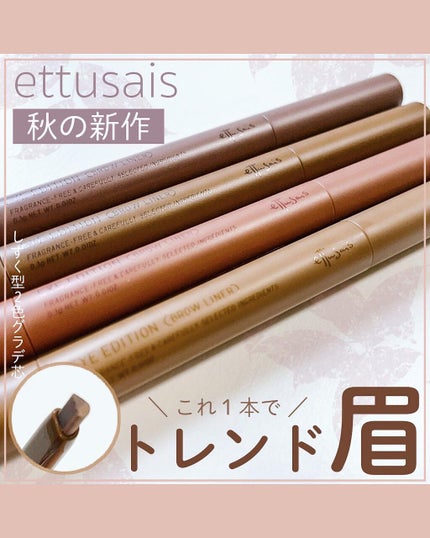 エテュセ アイエディション(ブロウライナー)/ettusais/アイブロウペンシルを使ったクチコミ(1枚目)