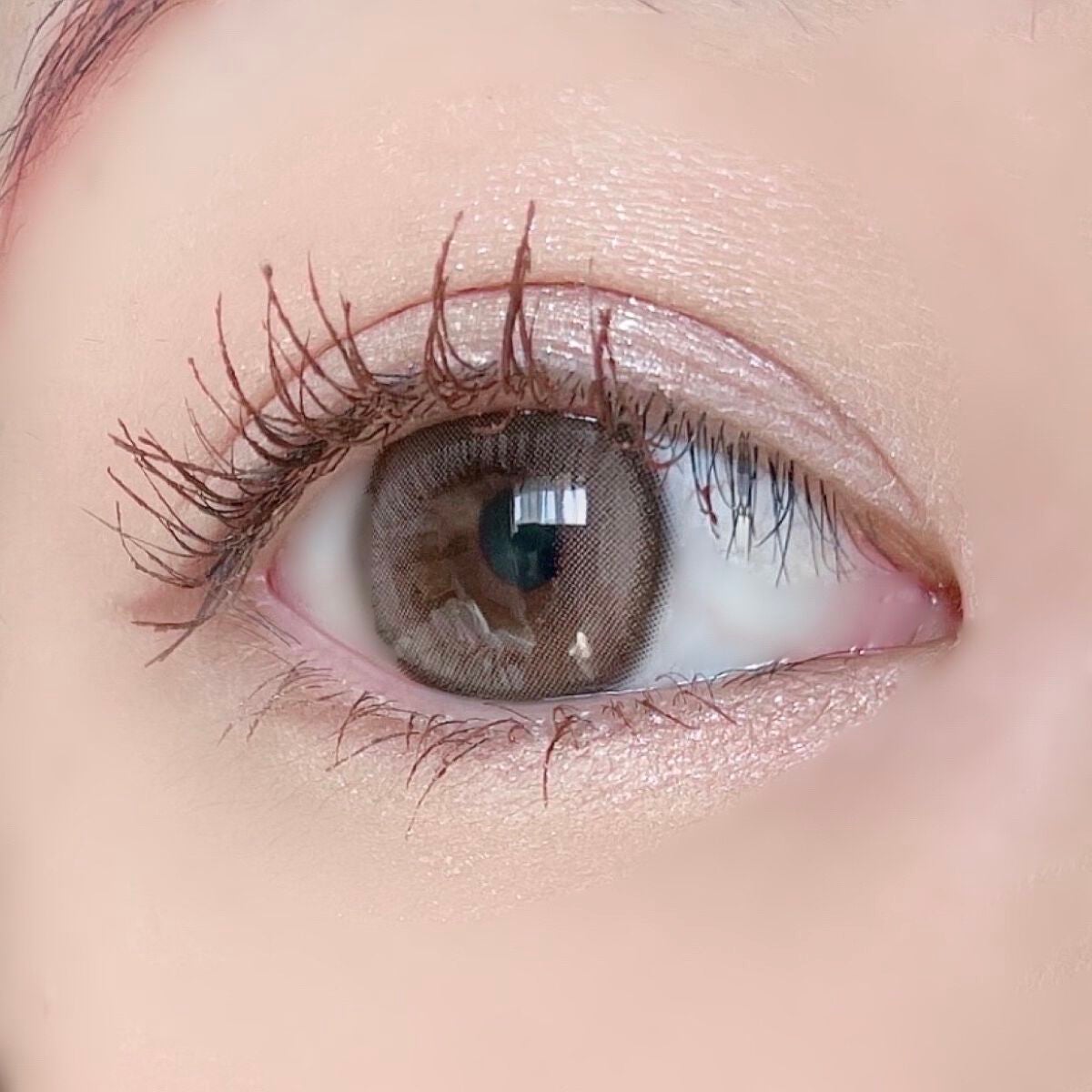 Suger High Kristin/Hapa kristin/カラーコンタクトレンズを使ったクチコミ(2枚目)