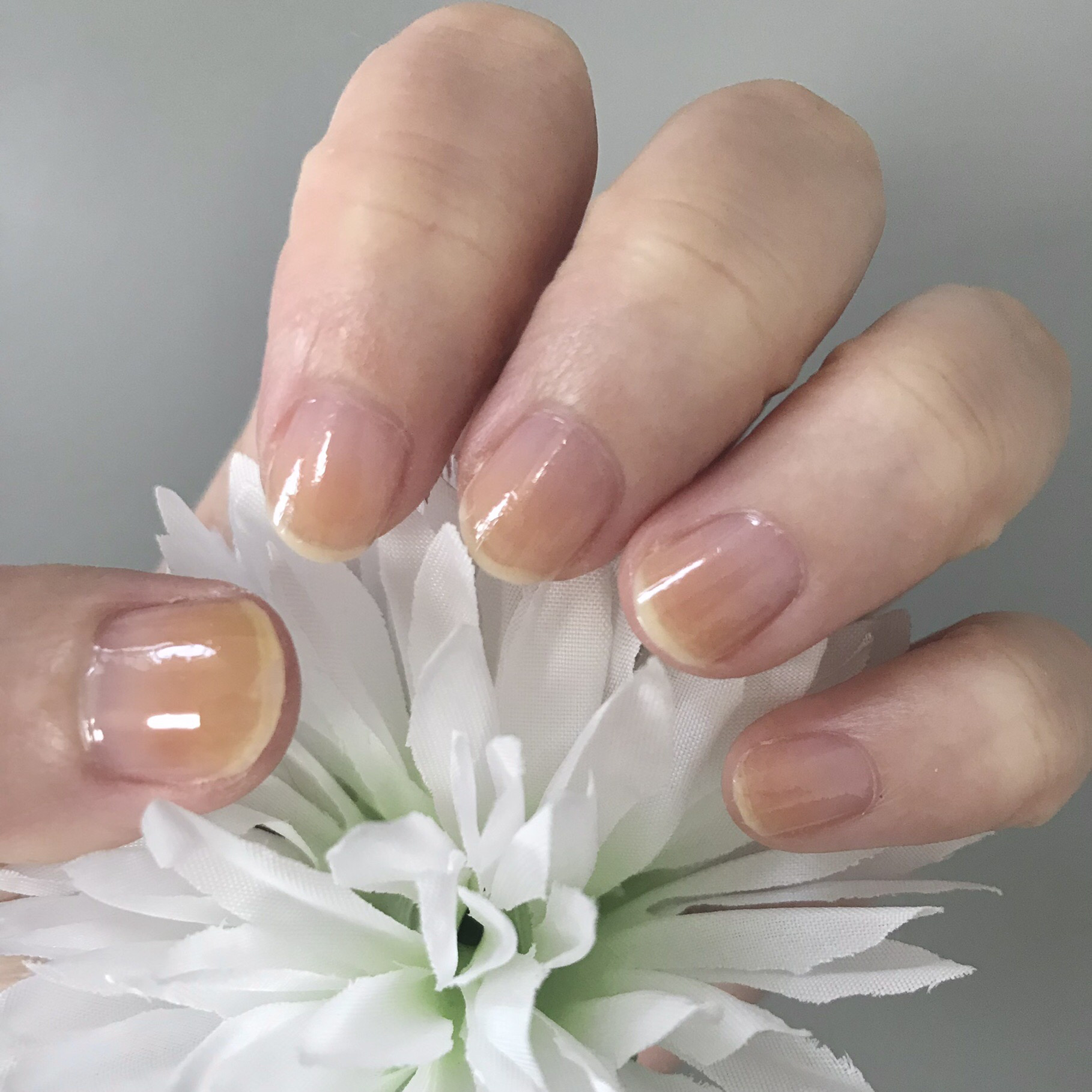 AC ファイバーベースコート/AC MAKEUP/ネイルベースコートを使ったクチコミ（2枚目）