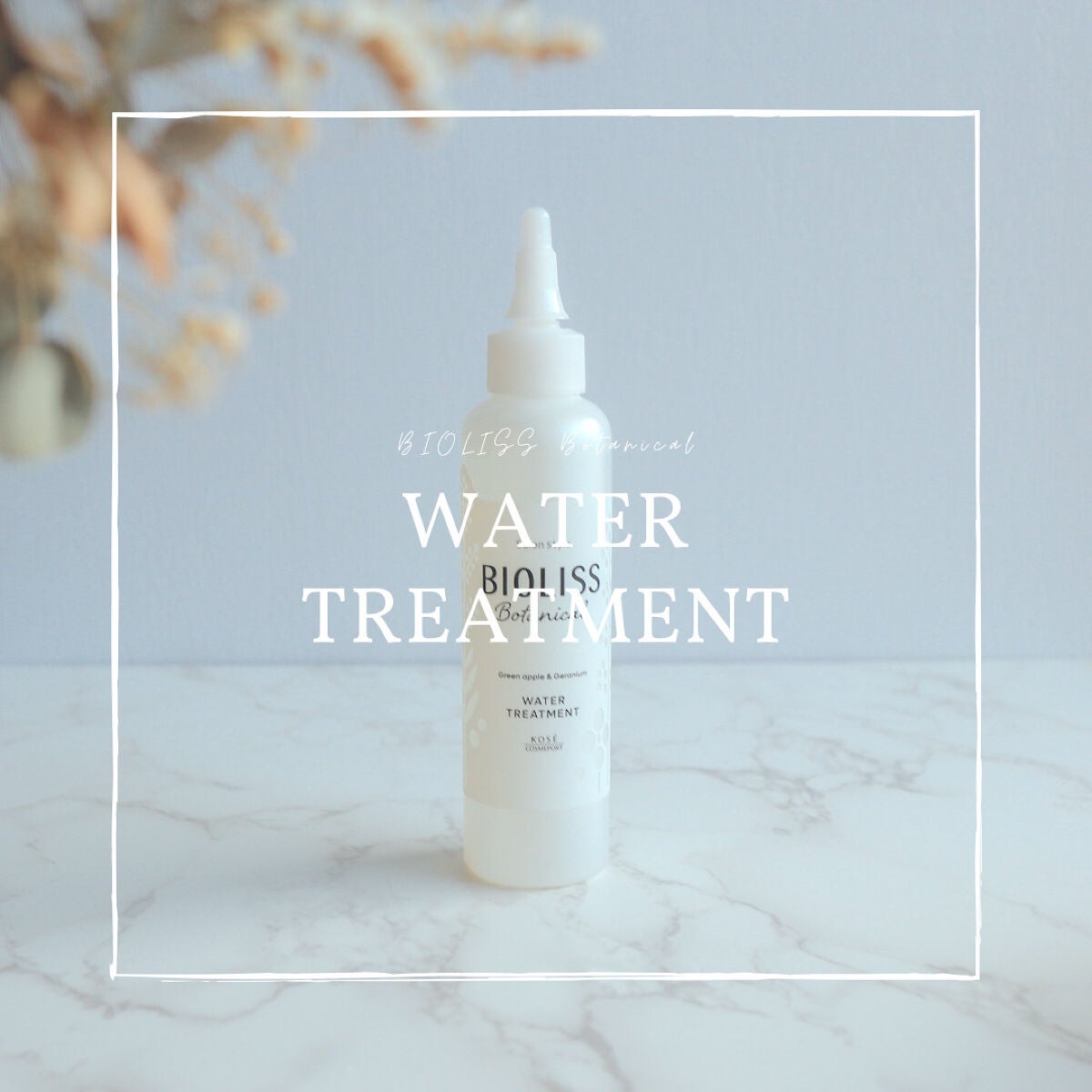 SS ビオリス ボタニカル ウォータートリートメント/SSビオリス/洗い流すヘアトリートメントを使ったクチコミ(1枚目)