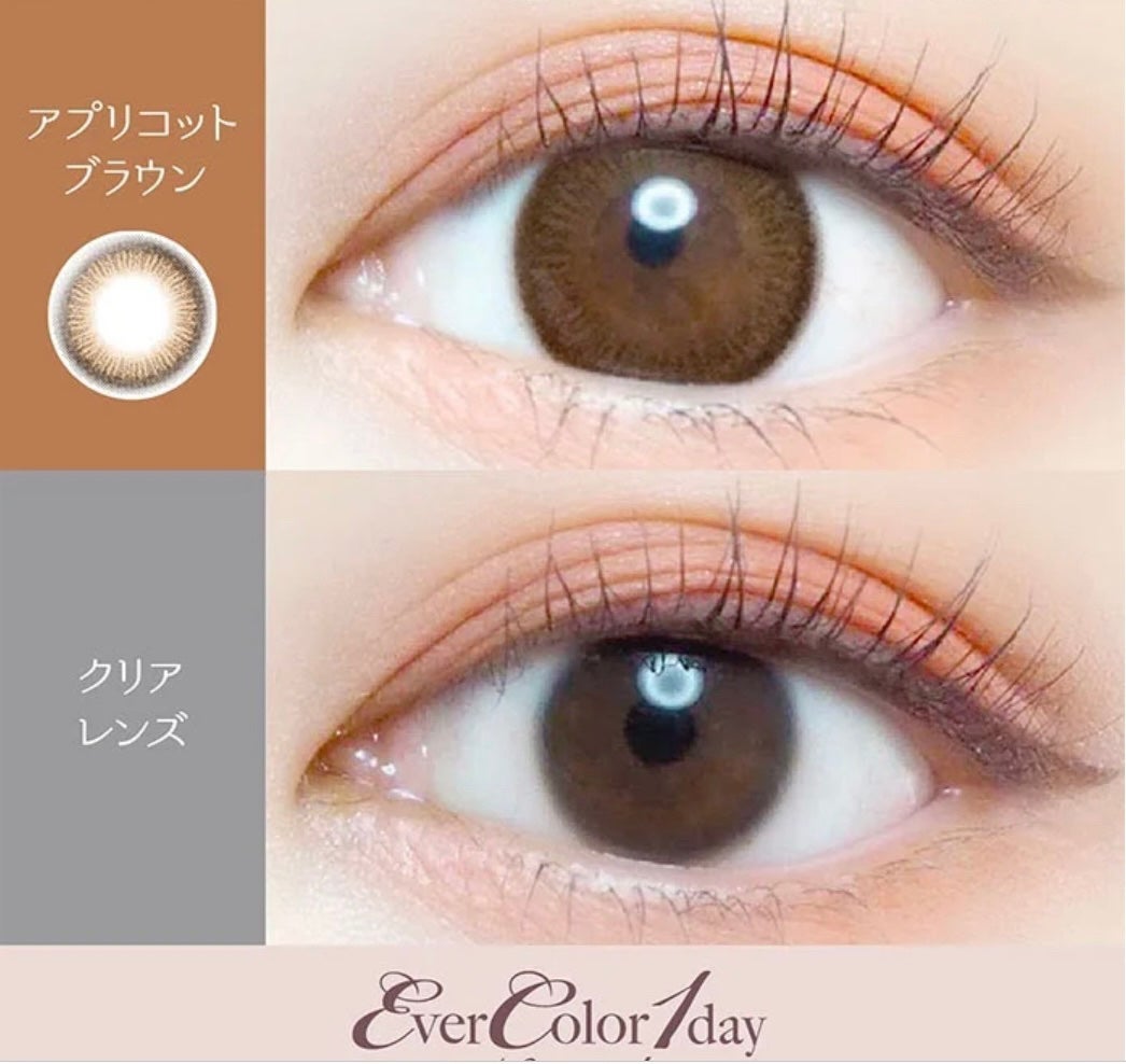 エバーカラーワンデー ナチュラル/エバーカラー/ワンデー(1DAY)カラコンを使ったクチコミ(2枚目)
