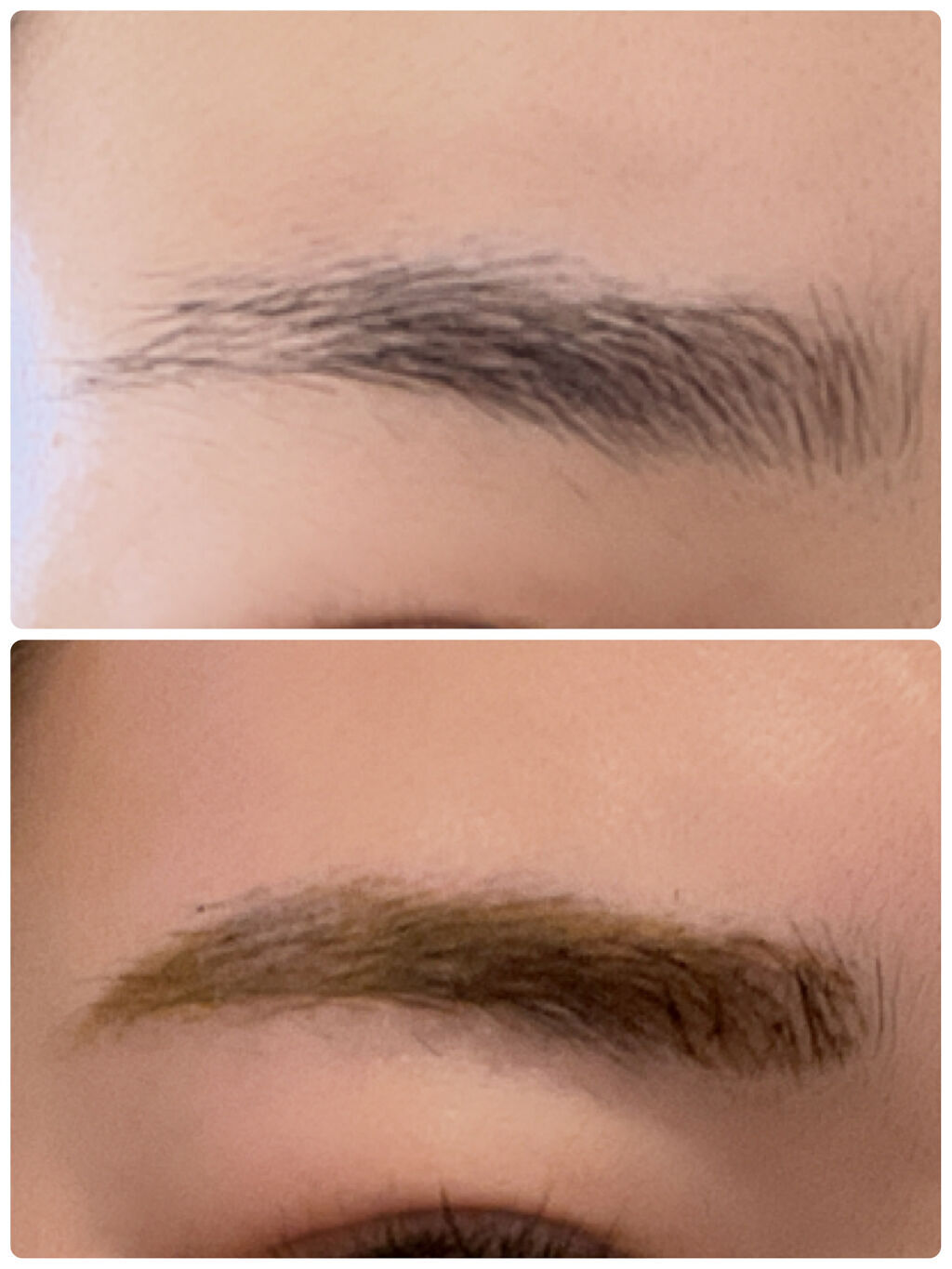 眉ティントSVR/Fujiko/眉ティントを使ったクチコミ（3枚目）