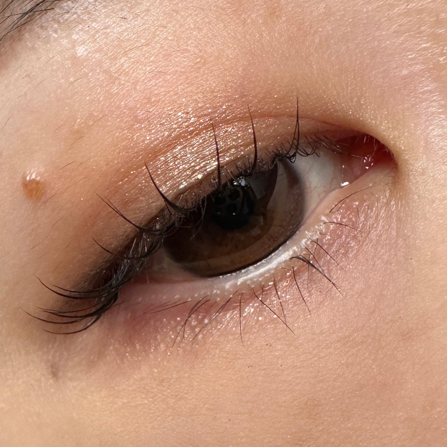 クチュール ミニ クラッチ/YVES SAINT LAURENT BEAUTE/アイシャドウパレットを使ったクチコミ(3枚目)