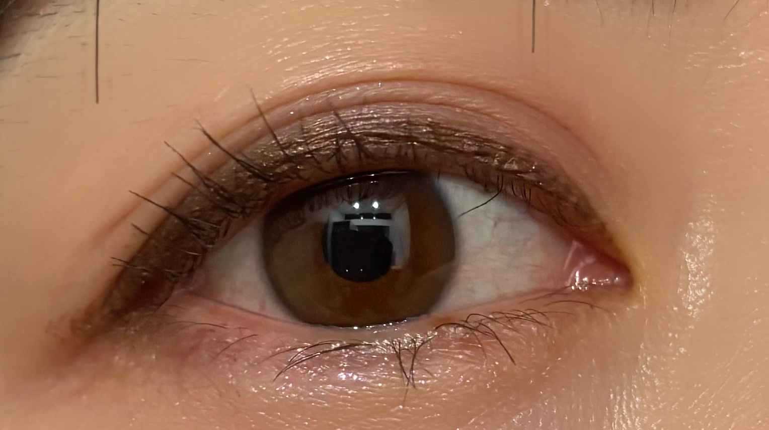 オール テイク ムード パレット(24AD)/PERIPERA/アイシャドウパレットを使ったクチコミ（3枚目）