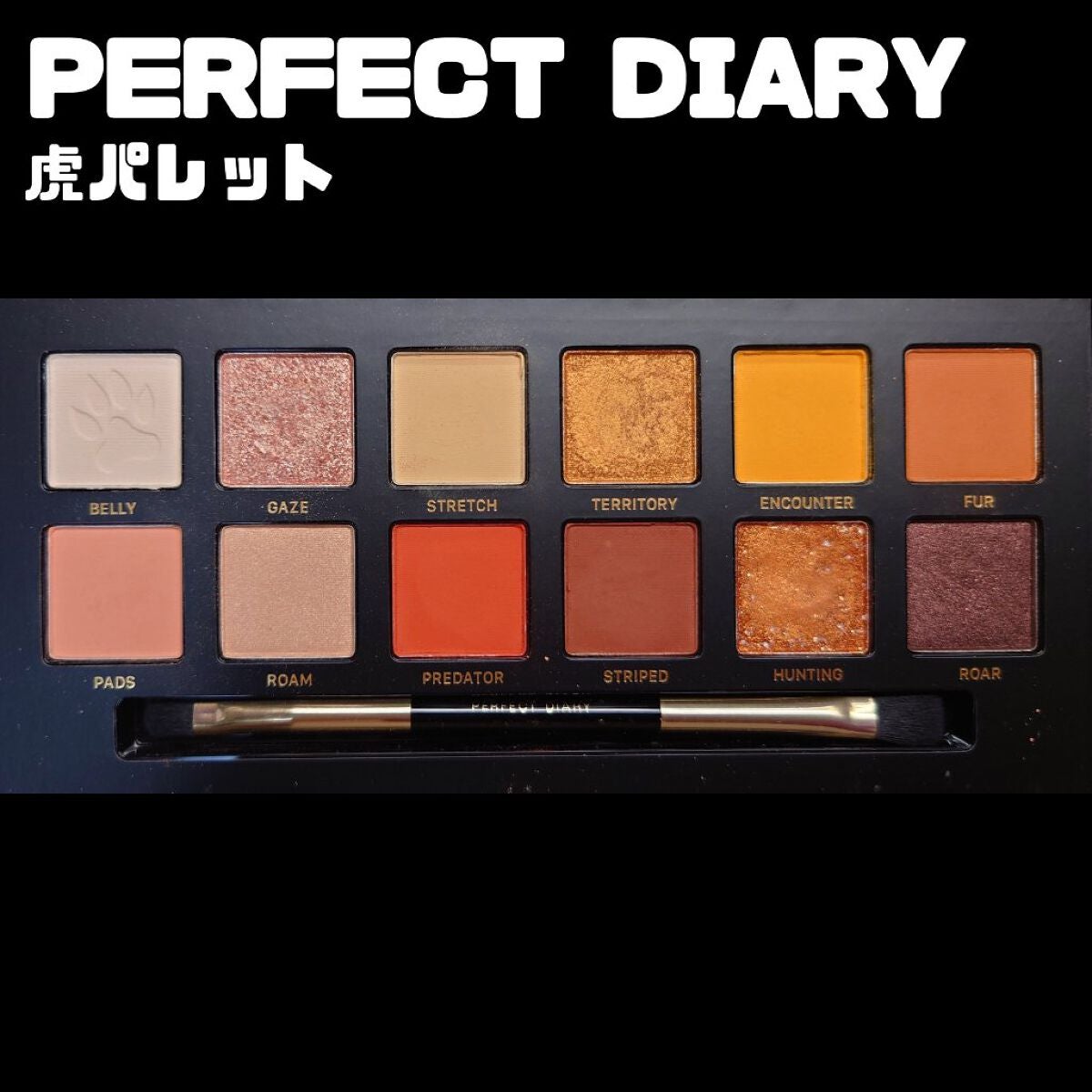 エクスプローラ12色 動物アイシャドウパレット/PERFECT DIARY/アイシャドウパレットを使ったクチコミ(2枚目)