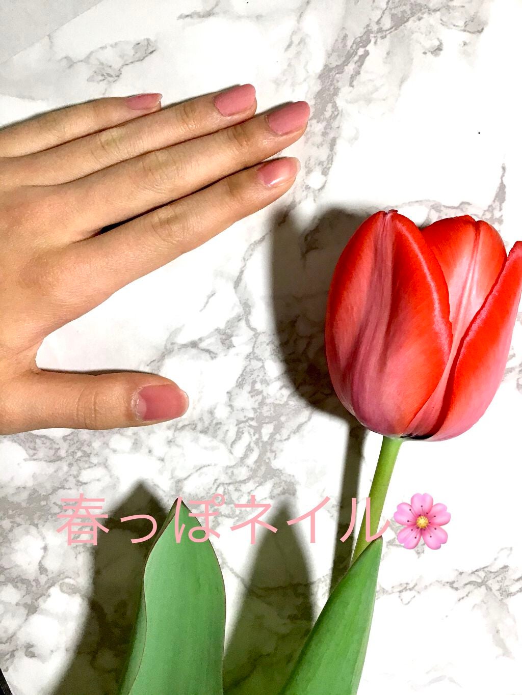 カラフルネイルズ/キャンメイク/マニキュアを使ったクチコミ(1枚目)