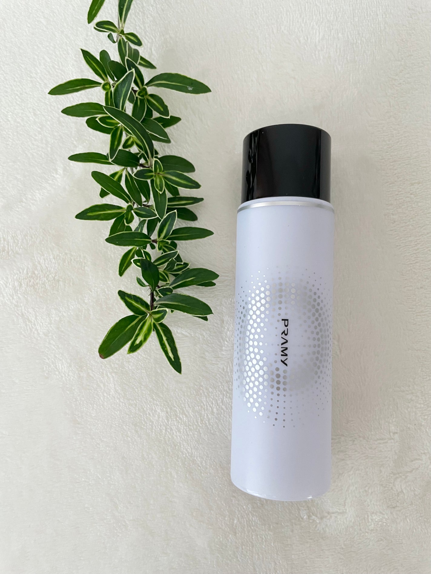 PRAMY メイクアップセッティングミスト モイストタイプ/PRAMY/フィックスミストを使ったクチコミ(1枚目)