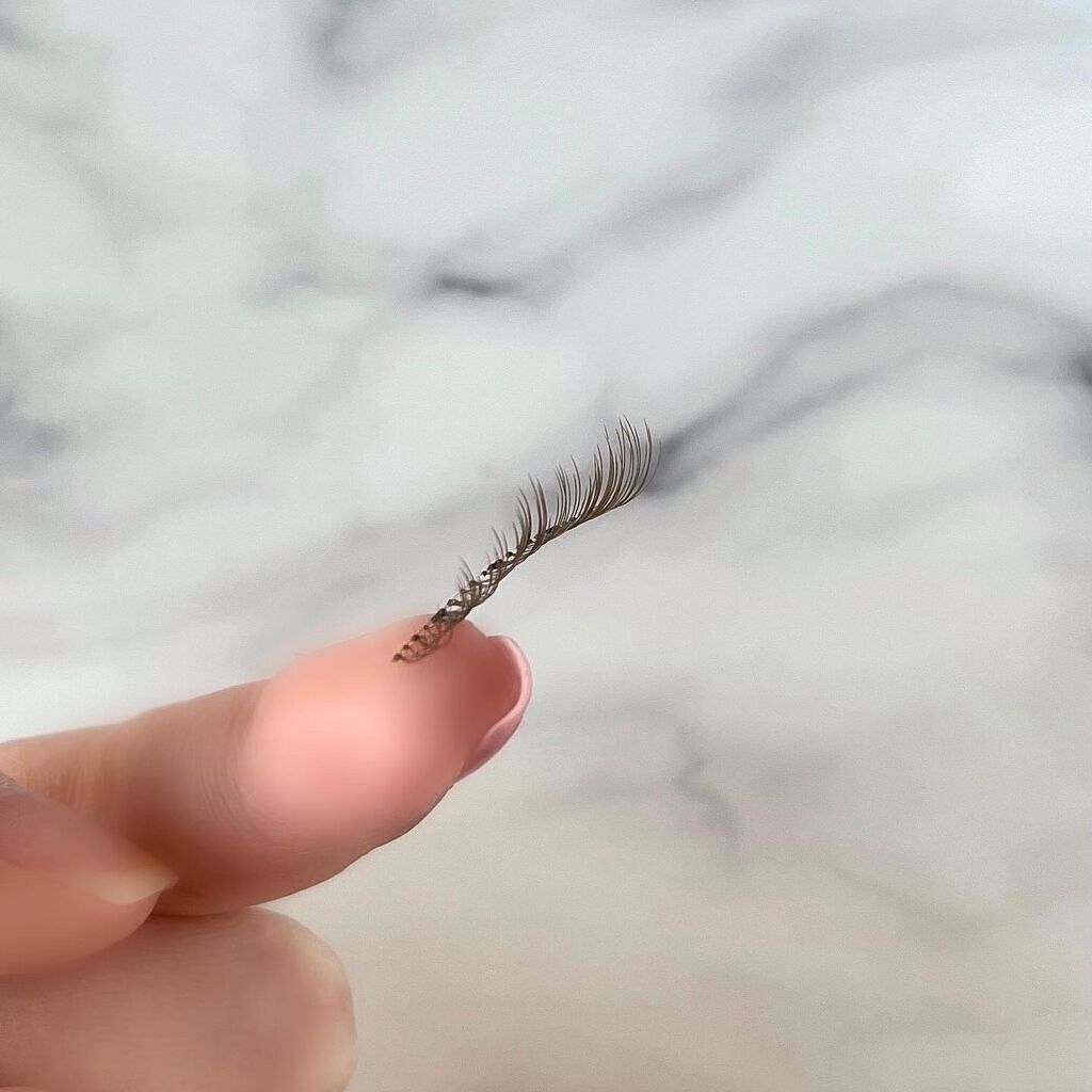 アイラッシュ SAEKOプロデュースライン/ミッシュブルーミン/つけまつげを使ったクチコミ(4枚目)