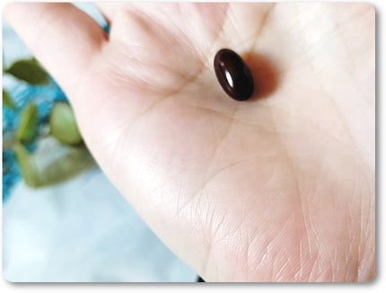 WHITE VEIL Premium/WHITE VEIL/美容サプリメントを使ったクチコミ(2枚目)