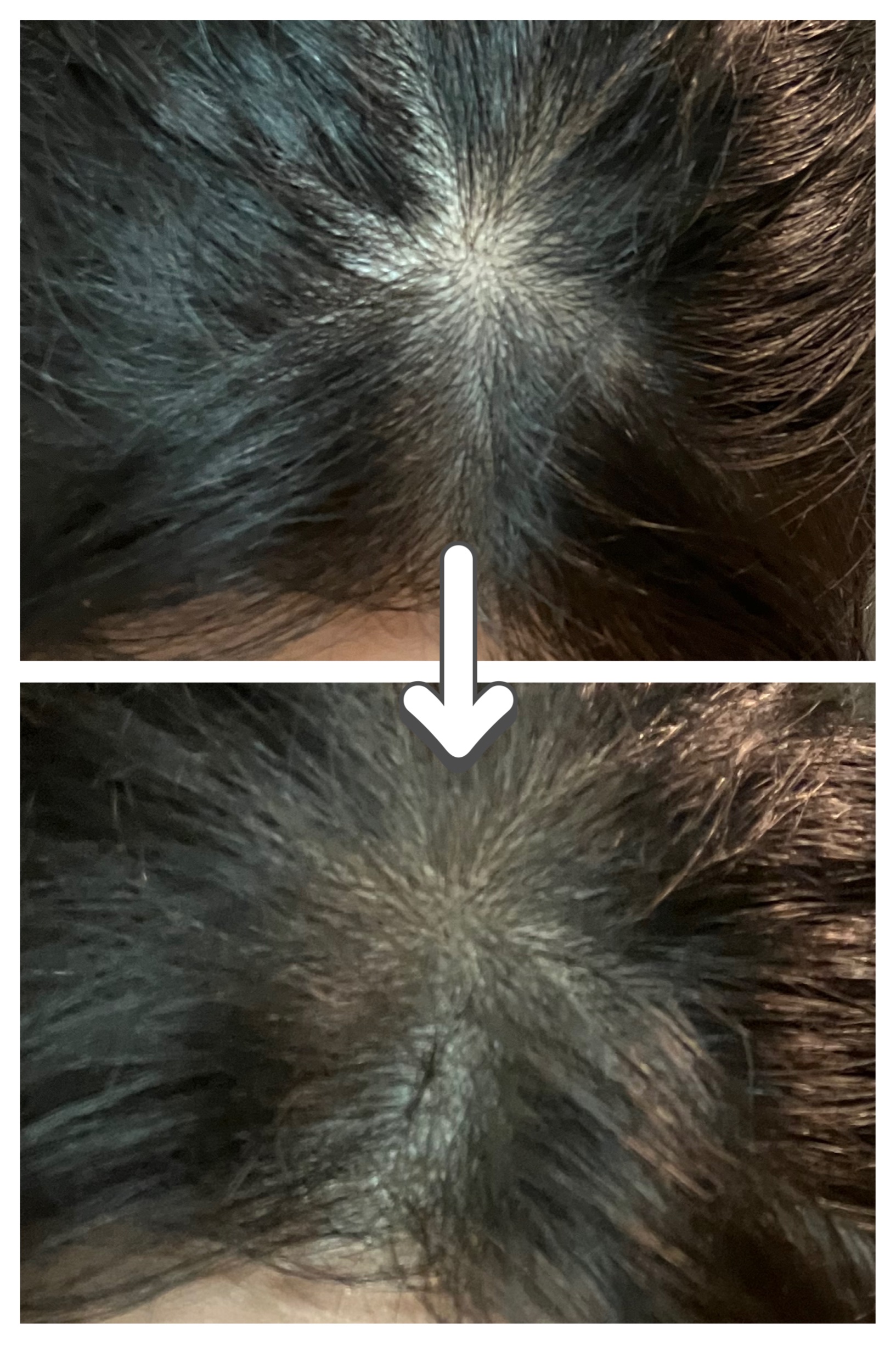 ヘアメイクパウダー/CEZANNE/ヘアケア・スタイリングを使ったクチコミ（2枚目）