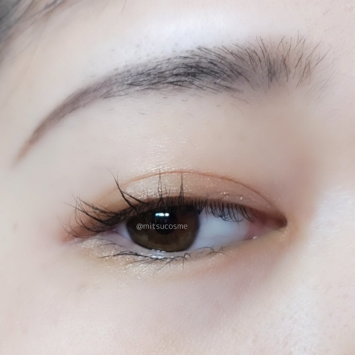 ニュアンス デューイ クリエイター/Visée/アイシャドウパレットを使ったクチコミ(4枚目)