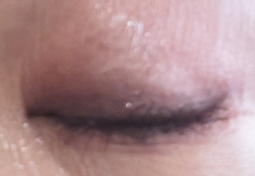 ハンオールシェードライナー/rom&nd/ペンシルアイライナーを使ったクチコミ（3枚目）