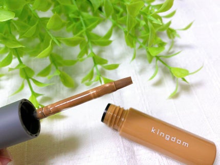 パウダリーリキッドアイブロウ ウルトラキープ		/キングダム/リキッドアイブロウを使ったクチコミ(2枚目)