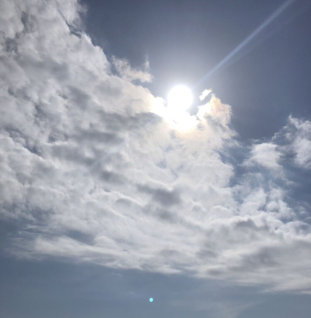 柳屋　あんず油/柳屋あんず油/ヘアオイルを使ったクチコミ（1枚目）