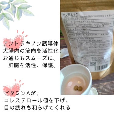 ハブ茶エキス錠 /森覚貫誠堂/健康サプリメントを使ったクチコミ（3枚目）