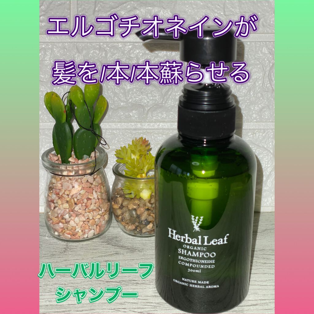 オーガニックシャンプー/コンディショナー/ハーバルリーフ/市販シャンプーを使ったクチコミ(4枚目)