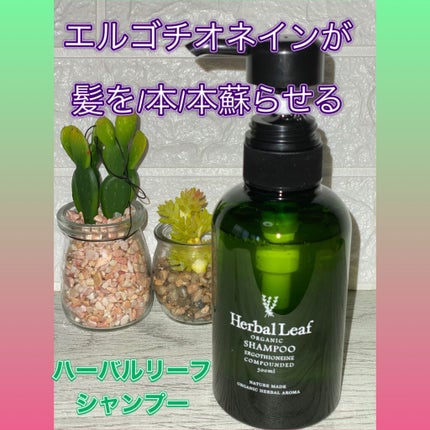 オーガニックシャンプー/コンディショナー/ハーバルリーフ/市販シャンプーを使ったクチコミ(4枚目)