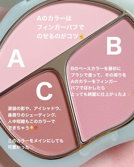 TIMAGE 3色チークパレット/TIMAGE/パウダーチークを使ったクチコミ(5枚目)